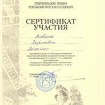 Сертификат участия1