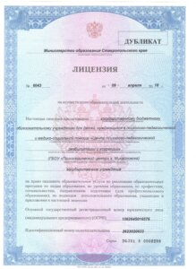 Лицензия 1